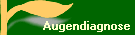 Augendiagnose